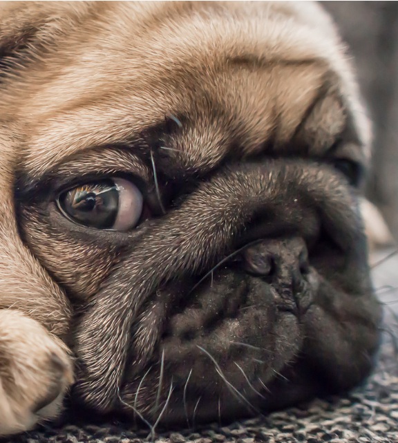 Tästä kategoriasta näkyy viesti vierailijoille